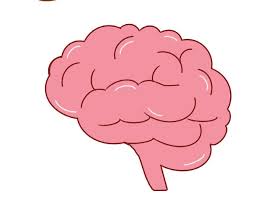 V40 Issue 5 by Eagle Edition