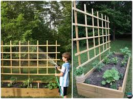Diy Raised Garden Bed With Trellis Instruction 20 Diy Raised Garden Bed Ideas Instruction Raised Garden Beds Diy Diy Raised Garden Vegetable Garden Raised Beds