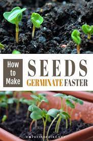 Tips For Speeding Up Seed Germination Empress Of Dirt Growing Vegetables Home Vegetable Garden Seed Germination