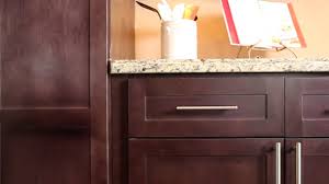 shaker espresso kitchen cabinets