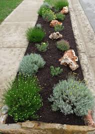 Curbside Landscaping Sidewalk Landscaping Low Water Landscaping Yard Landscaping