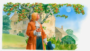 Image result for images isaac Newton hit in the head with an apple