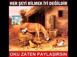 Kuran Okurken Azrail As Geldi Ve Sonra Su Hadis Hatirlandi Taha Yasin Youtube