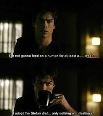 We did not find results for: Damon Bonnie Quotes Tumblr Damon Salvatore Quotes Tumblr Vampire Diaries Quotes Vampire Dogtrainingobedienceschool Com