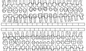 Periodontal Chart Template Studenthost Me