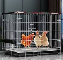 Vente en gros Ferme De Cages à Poulets de produits à des ...