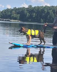 Jessica Morrill Sheets (@sheetsjessica) · Instagram photos and Reels