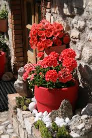 Pot Garden In Greccio Lazio Close To Rieti In Italy Flowers Garden Pots Garden