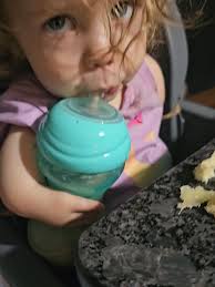 How Too Use Sippy Cup Nuby Straw 240