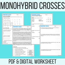 Monohybrid mice worksheet answer key. Monohybrid Cross Punnett Square Practice Worksheet Pdf Digital