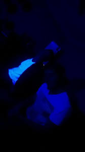 steven grose (@stevengrose1)