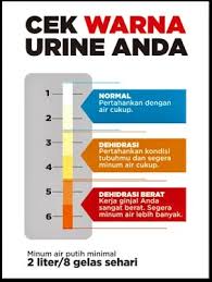 Check spelling or type a new query. Rumah Sakit Jiwa Prof Dr Soerojo Magelang Cek Kondisi Kesehatan Dari Warna Urin