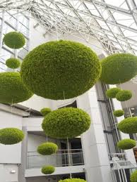 Meamea Plantes Stabilisees Jardin D Hiver Deco Plantes Creation Jardin