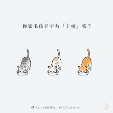 麻里梨夏 誘惑 AV女優 最 新 寫真 親眼 她 驚人 風采