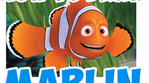 This drawing tutorial will teach you how to draw marlin, nemo's father, the clown fish from finding nemo and finding dory. How To Draw Marlin From Finding Dory And Finding Nemo Easy Step By Step Drawing Tutorial How To Draw Step By Step Drawing Tutorials