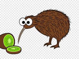 July 2021 what would happen if i took you to bed with me? Kiwi Bird Png Images Pngwing