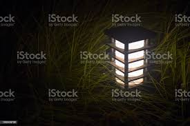 Led Lighting In Grass Led Solar Lawn Light Night Lamp Solar Garden Lights Stock Photo Download Image Now Istock