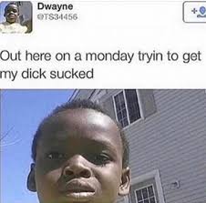 Thats that boy bird, rock 73rd. Elon Musk On Twitter My Boy Dwayne Tryna Get Laid Help A Brother Out Lmao Memes Offensivememes Dankmemes Dailymemes