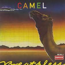 So here are some incredible camel pictures you must in some parts of the world, they are also used as draft animals. Album Of The Month April 2014 Camel Breathless 1979 Fond Sound