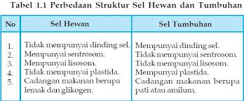 Dari segi ukuran, sel hewan lebih kecil dibanding sel tumbuhan. Struktur Sel Hewan Daftarcatatanku