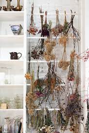 The Flower Shop At Seattle S London Plane Gardenista Dried Flower Arrangements Dried Flowers Dried Flower Bouquet