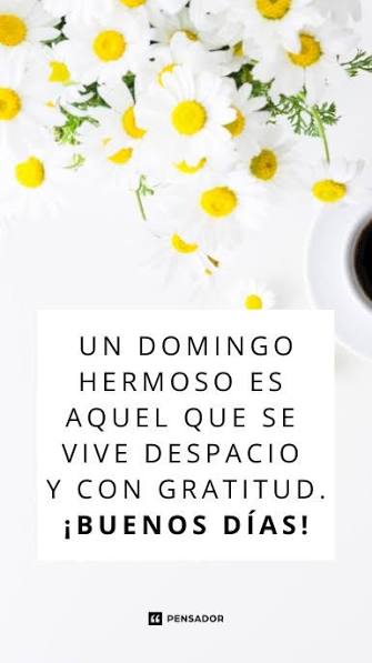 Domingo hermoso: 41 frases de buenos días que alegran cualquier mañana - Pensador