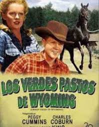 Por un lado, siente un cierto sentimiento de fidelidad a su tribu; Chato El Apache 1972 Dual Subtitulos Descarga Cine Clasico