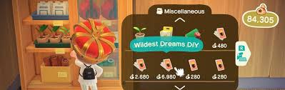 What Do You Get From The Wildest Dreams Diy Package Metabomb