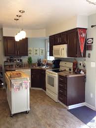 repaint kitchen cabinets
