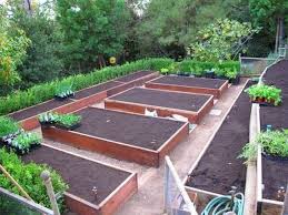 Popular Raised Garden Beds Layout Design Ideas 27 Garden Layout Vegetable Vegetable Garden Design Vegetable Garden Raised Beds