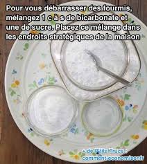 Epingle Sur Anti Insectes Et Anti Parasites