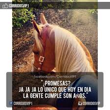 ¿cómo se dice esto en español? 33 Me Ideas Spanish Quotes Quotes En Espanol Mexican Quotes