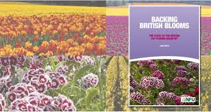 Food and drinks flowers and presents live plants pastry shops and bakeries coffee and tea shops holiday goods cosmetics & perfume jewelry & bijou accessories decor tableware. Help Public Connect With Flowers Like They Do With Food