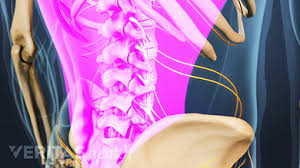 The quadratus lumborum muscles (orange, in the image above) are found in the lower back (also called the lumbar area). Lower Back Muscle Strain Symptoms