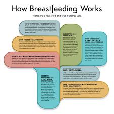 Breastfeeding 101 Wildwood Birth