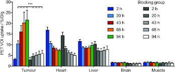 Time Activity Bar Chart Showing The Activity Associated With