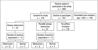 Flow Chart Presenting The Number Of Patients And The Results