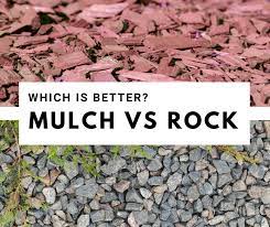 Mulch Vs Rock For Landscaping Which Is Better For Texas Lawns Need some great landscaping ideas with mulch and rocks as the main components? mulch vs rock for landscaping which