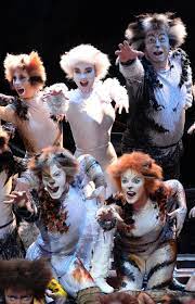 Pin By Lou On Cats Musical Jellicle Cats Cats Musical Broadway History