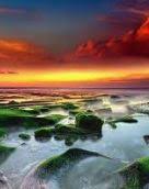 صور خلفيات شاشه جوال للبنات كيوت وجميلة سوداء ايفون Background Images Background Images Nature Background