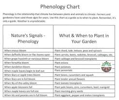 Soil Temperatures And Phenology Chart Devine Gardens
