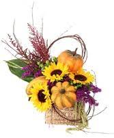 Melbourne florist offers you a large variety of fresh flowers & same day flower delivery in melbourne. Halloween Flowers Melbourne Ar The Home Place And Florist