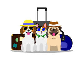 Illustration About Cute Dogs And Cat Group With Travel Luggage Going To Summer Vacation Illustration Of Fashionable Hu Cute Cats And Dogs Dog Cat Pet Travel