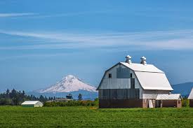 Photographing Oregon Oregon Road Trip Barn Oregon