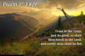 If god did that for you, then you can trust him completely with your heart. Bible Verses Kjv On Twitter Psalm 37 3 Kjv Trust In The Lord And Do Good So Shalt Thou Dwell In The Land And Verily Thou Shalt Be Fed