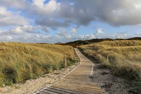 We did not find results for: Ostfrieslands Natur Ferienhof Ostfriesland