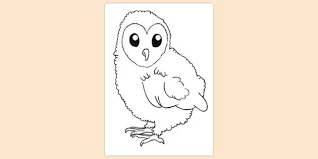 Parents may receive compensation when you click through and purchase from links contained on this website. Baby Owl Colouring Page Eylf Parents Colouring Pages