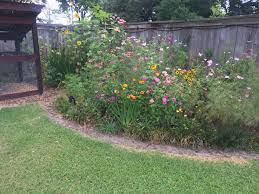 My Mom Planted Some Random Seeds And I Love How It Turned Out Gardening Garden Diy Home Flowers Roses Nature Landscaping Ho Plants Seeds Horticulture
