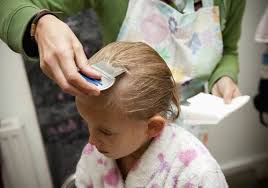 There are a lot of misunderstandings and myths about head lice, but the rumors around clean vs. Fda Says Popular Prescription Lice Treatment Can Be Sold Over The Counter