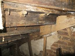 Check spelling or type a new query. Refaire Un Escalier